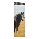 Search for steen Horse