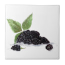 Search for blackberry tiles Bramble