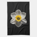 Search for daffodils tea towels Garden