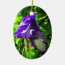 Search for iris christmas tree decorations Blossom