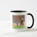 Search for german shepherds mugs Puppy