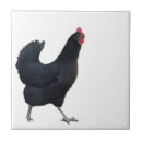 Search for chicken tiles Animals