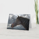 Search for loss of a horse cards Equestrian