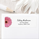 Search for pink gerbera daisy return address labels Flower