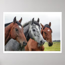 Search for ranchers posters Farmers