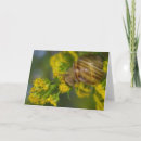 Search for macro flower cards Yellow