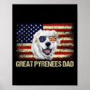 Search for vintage fireworks posters Bald eagle