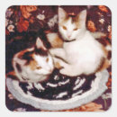 Search for cat nap stickers Cats