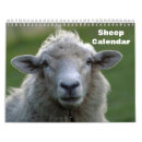 Search for sheep calendars Animal