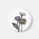 Search for background design magnets Elegant