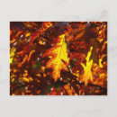 Search for fall leaves design postcards Foliage
