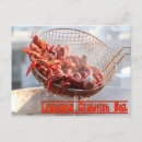 Search for crayfish postcards Boil