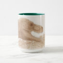 Search for tyrannosaurus mugs Dinosaur