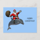 Search for funny dolphin cards Fish