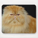Search for stuff shot mousepads No people
