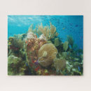 Search for coral reef puzzles Colourful
