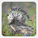 Search for possums crafts party Nature