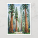 Search for hiking nevada postcards Hike