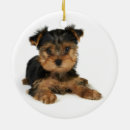 Search for yorkie christmas tree decorations Pets