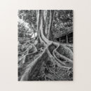 Search for tree roots puzzles Landscape