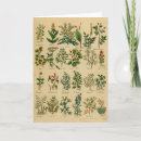 Search for vintage health postcards Floral