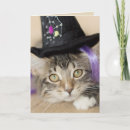 Search for witch hat halloween cards Animal