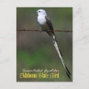 Search for flycatcher Oklahoma