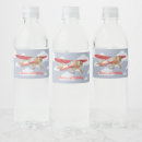 Search for airplane water bottle labels First birthday