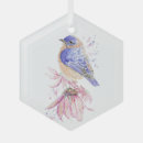 Search for bluebird decor Nature
