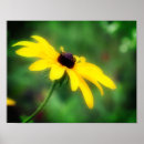 Search for single yellow posters Botanical
