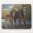 Search for digital horse mousepads Foal