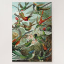 Search for ernst haeckel puzzles Illustration