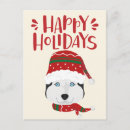 Search for husky dogs postcards Dog lovers
