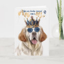 Search for clumber spaniel Pets