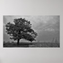 Search for oak tree posters Landscape