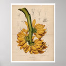 Search for linen paper posters Green