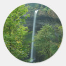 Search for silver state stickers Falls