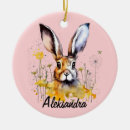 Search for easter bunny christmas tree decorations Hare