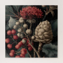 Search for pod puzzles Botanical
