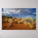 Search for kalahari posters Africa