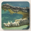 Search for crocodile barware Animals