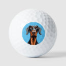 Search for funny cartoons golf equipment Pets