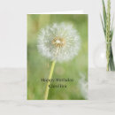 Search for dandelion cards Floral