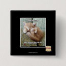 Search for i rule badges I can has cheezburger