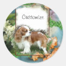 Search for cavalier stickers Pet