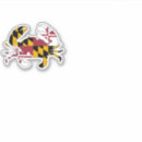 Search for baltimore flag stickers United states