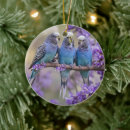 Search for budgie christmas tree decorations Bird