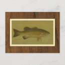 Search for bass postcards Fish