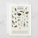 Search for ornithological cards Nature