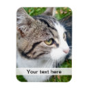 Search for your image here magnets Pet